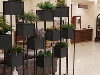 Hotel thumbnail 14
