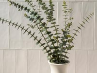 Otel küçük resmi 6