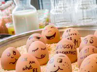 Otel küçük resmi 18