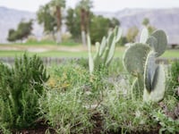 Миниатюра отеля 19