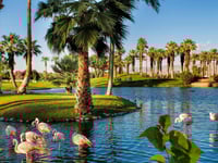 Миниатюра отеля 18