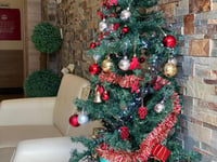 Hotel thumbnail 5