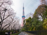 Miniatura dell'hotel 15