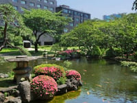 Hotel thumbnail 6