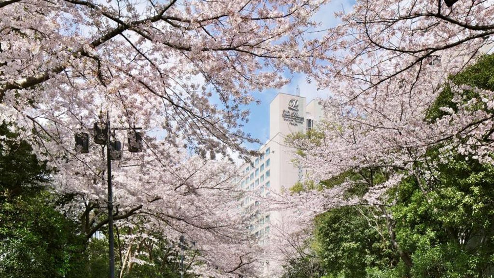 The Prince Sakura Tower Tokyo, Autograph Collection in in Tokyo, Japan