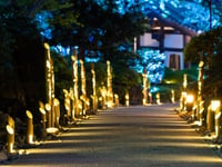 Hotel thumbnail 8
