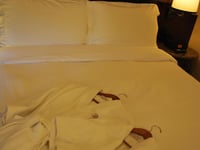 Hotel thumbnail 9