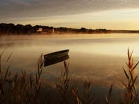 Miniatura dell'hotel 13