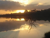 Miniatura dell'hotel 15