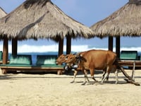 Hotel thumbnail 3