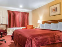 Miniatura del hotel 19