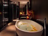 Hotel-Miniaturansicht 15