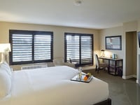 Miniatura dell'hotel 11