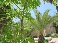 Hotel thumbnail 8