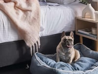 Miniatura dell'hotel 16