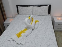 Miniatura dell'hotel 12