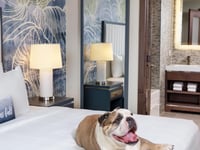 Hotel thumbnail 20
