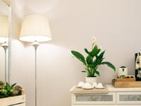 Hotel thumbnail 20