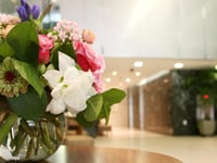 Hotel thumbnail 12