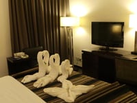 Hotel thumbnail 8