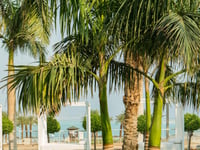 Hotel thumbnail 19