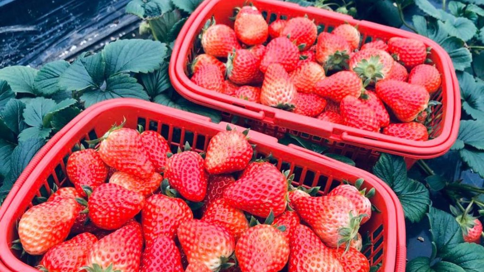 Auto City Ruili Hotel in in Jiading, China