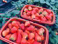 Miniatura dell'hotel 1