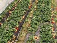 Miniatura dell'hotel 2