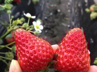 Miniatura dell'hotel 3