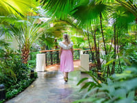 Hotel thumbnail 8