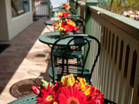 Hotel thumbnail 9