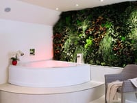 Miniatura dell'hotel 5