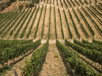 Hotel-Miniaturansicht 19