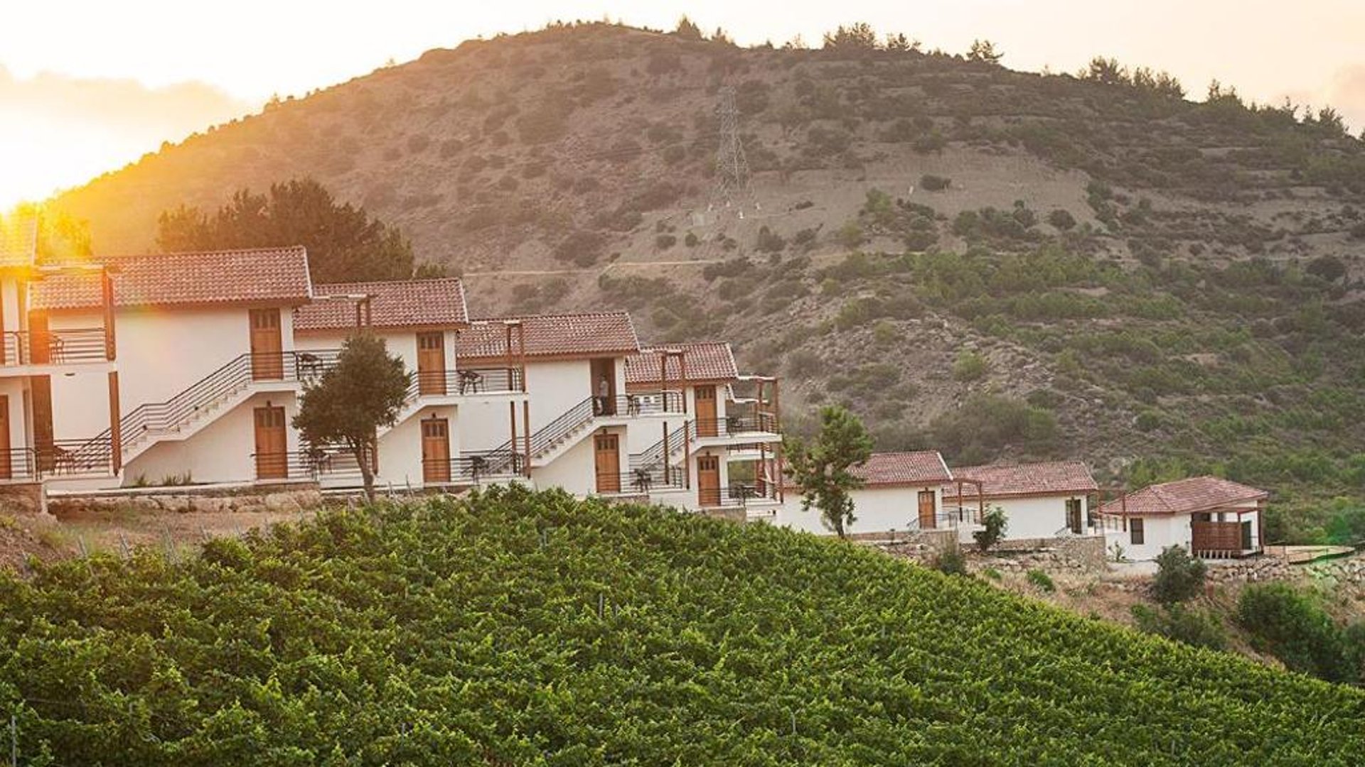 Gillham Vineyard Hotel in 凯里尼亚, 北塞浦路斯