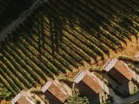 Hotel-Miniaturansicht 10