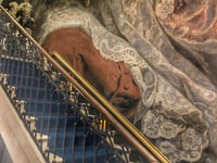Miniatura dell'hotel 16