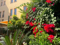 Miniatura dell'hotel 13