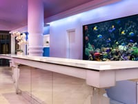 Hotel thumbnail 4