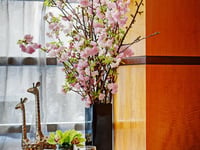 Hotel thumbnail 12