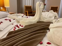 Hotel thumbnail 8