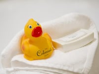 Miniatura dell'hotel 19