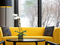 Hotel thumbnail 5