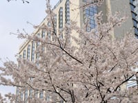 Hotel thumbnail 19