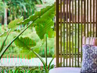 Miniatura del hotel 7