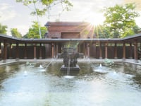 Miniatura del hotel 17