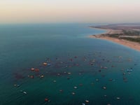 Vignette de l'hôtel 6