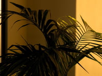 Miniatura dell'hotel 2