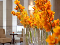 Hotel thumbnail 19