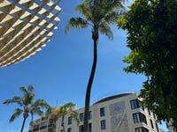 Miniatura dell'hotel 3