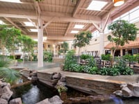 Vignette de l'hôtel 10